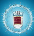 Zyphorra Sweet Perfume | Sweet Long Lasting Unisex Fragrance